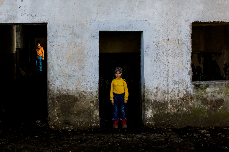 Cătălin Pricope - Playground.jpg